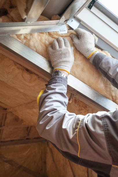 Best Insulation Maintenance and Repair in Fort Valley, GA