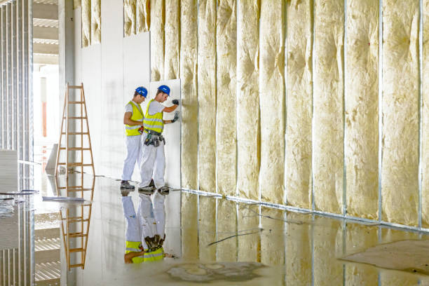 Best Residential Insulation in Fort Valley, GA